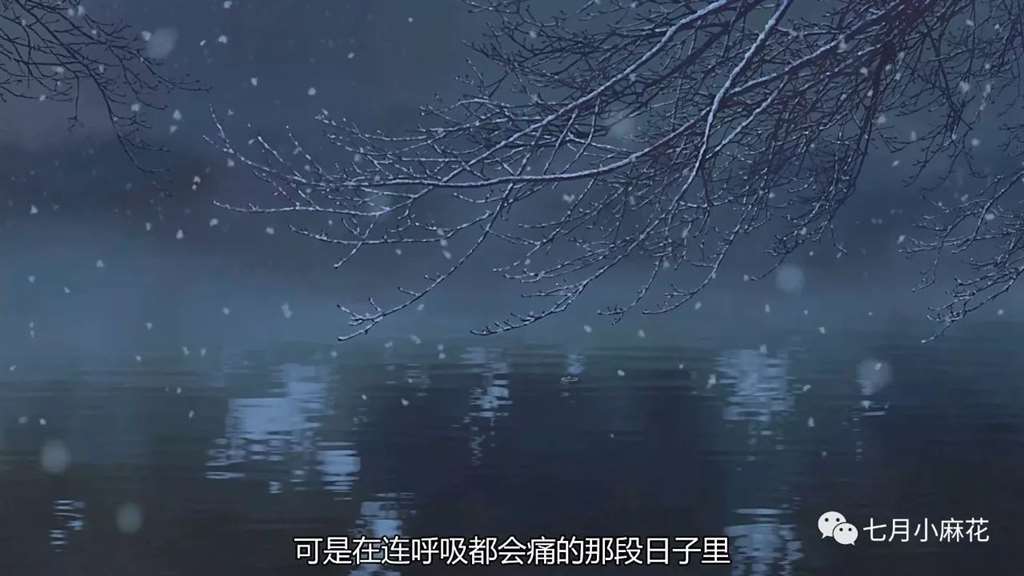 言叶之庭--师生恋包裹下的成人哲学