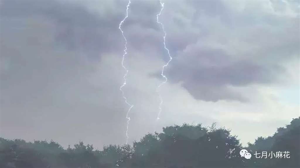 言叶之庭--师生恋包裹下的成人哲学