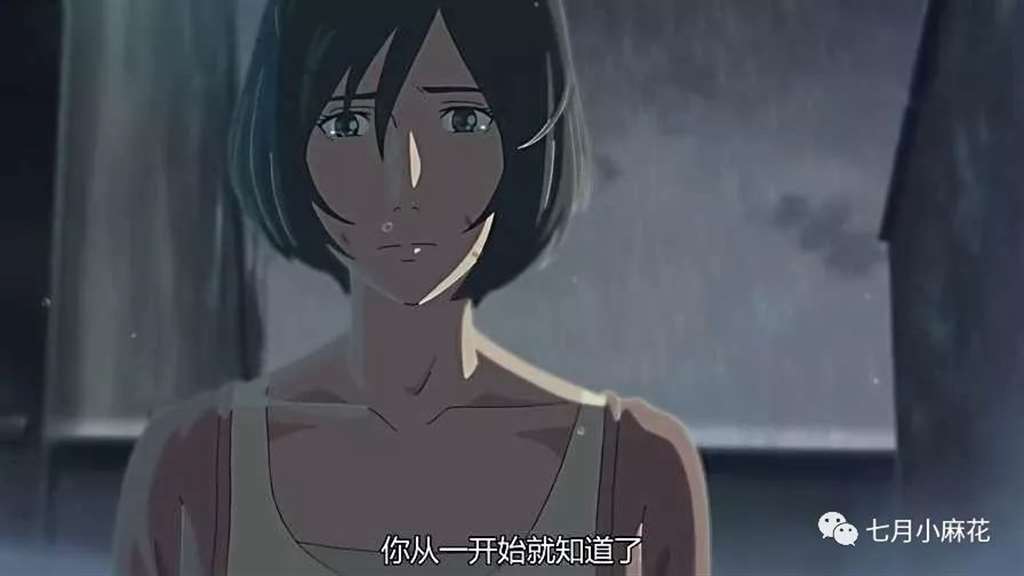 言叶之庭--师生恋包裹下的成人哲学