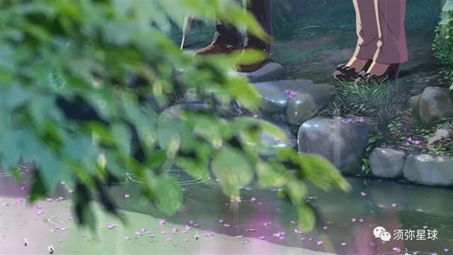 再一次看“秒五”，重新爱上新海诚