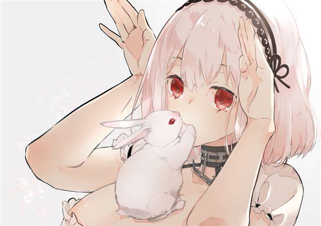 天狼星(碧蓝航线)图集: