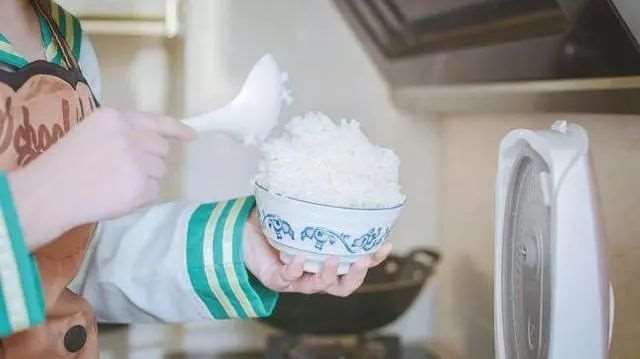 《小泉花阳厨娘》COS  CN: 扑扑肉圆者