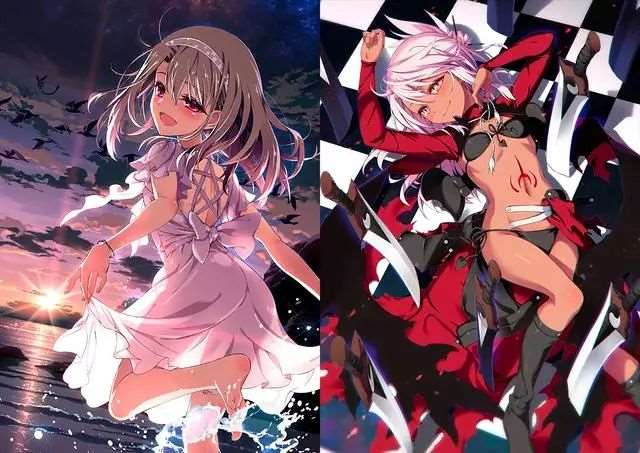 fate系列介绍满门英烈的卫宫家成员