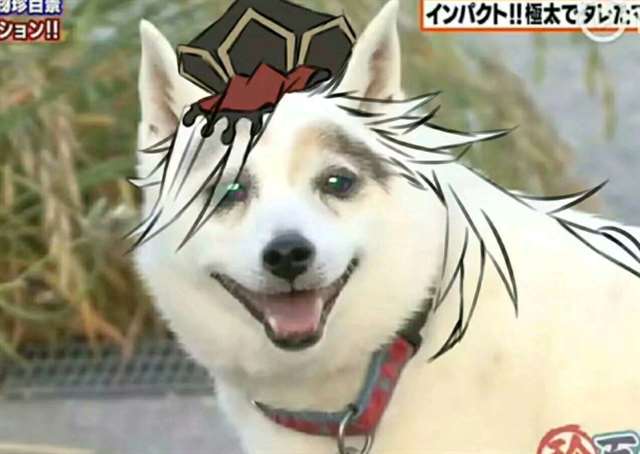 你们喜欢鬼灭之刃的童磨吗？