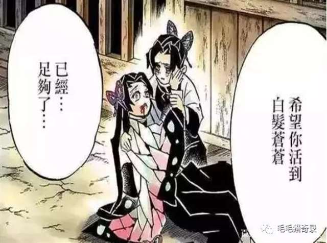 花柱蝴蝶香奈惠实力究竟达到了什么水平