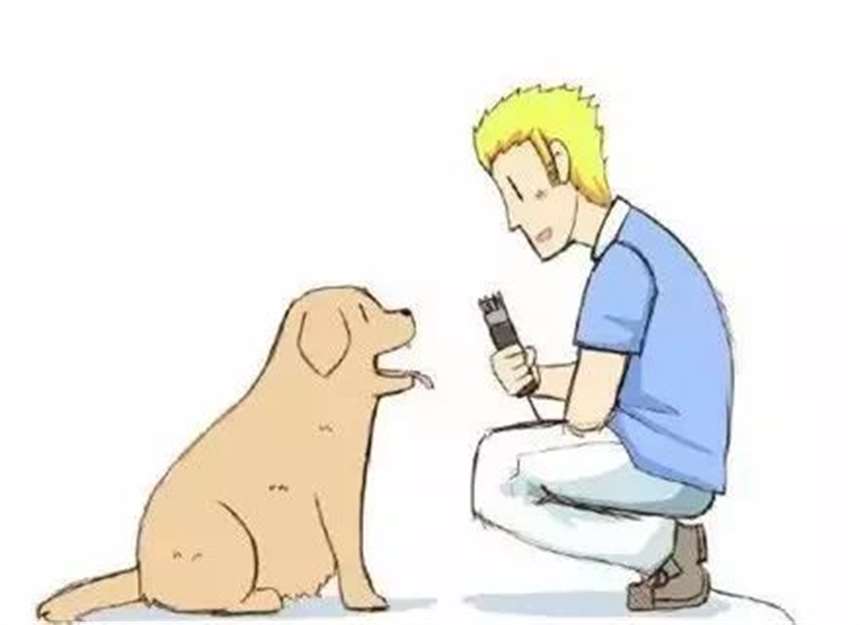 「绿茶猫」(greenteaneko)大尺度漫画