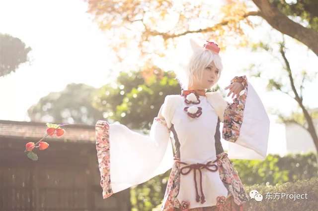 COS 犬走椛 满屏幕的狗腿子