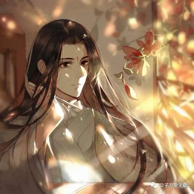 纯爱文里的“美人”们，西北一枝花、严娘娘、极品美人沈兰舟上头