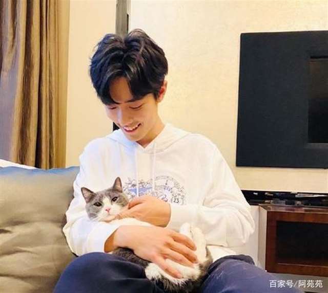 耽美腐漫之猫弄mono肖战