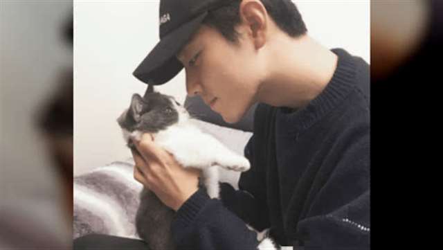 耽美腐漫之猫弄mono肖战