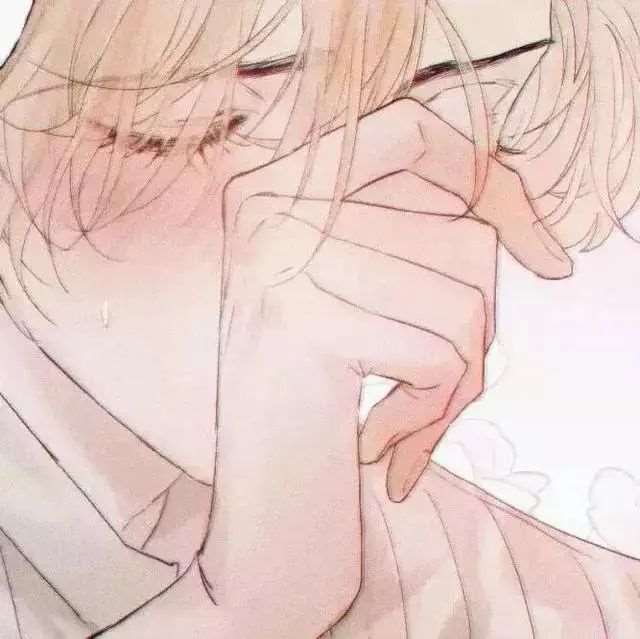 我喜欢你的信息素 路星辞&段嘉衍 原耽图集