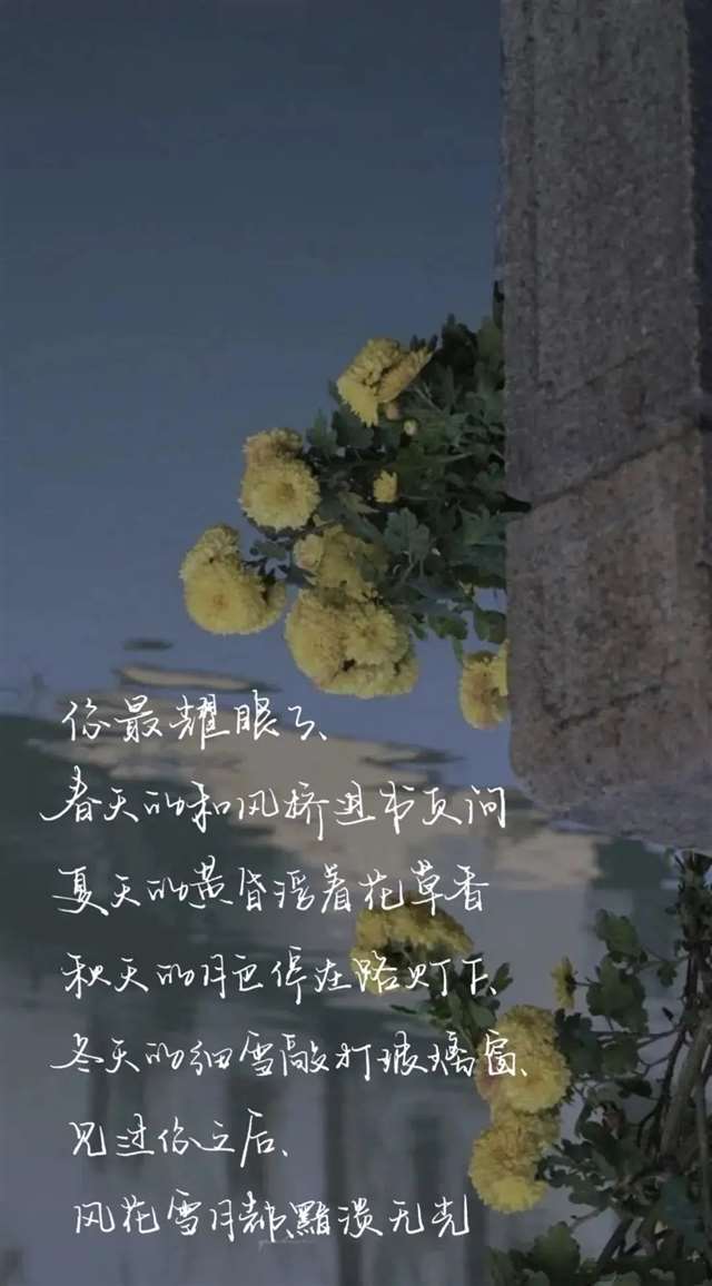 我喜欢你的信息素 路星辞&段嘉衍 原耽图集