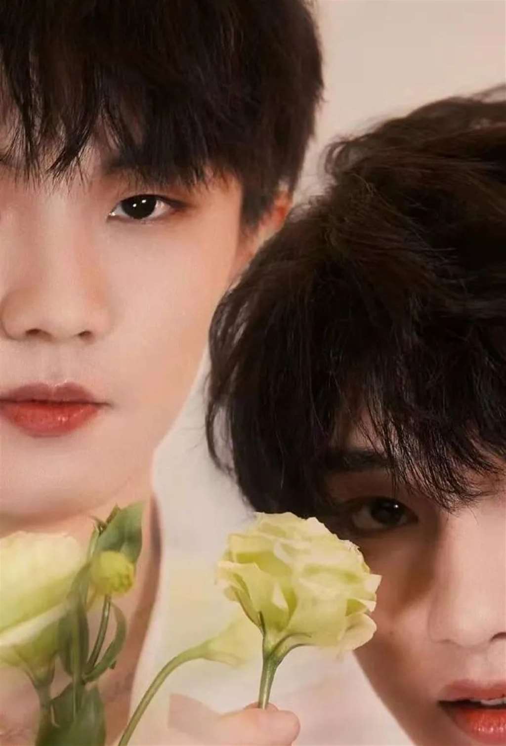 祺鑫cp头像壁纸图片合集