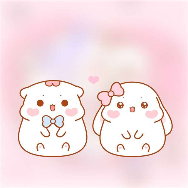 喵小呜和兔小叽微信朋友圈封面图