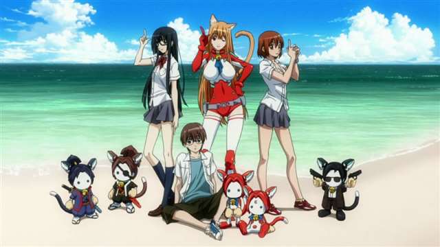 卖肉番五十部！全部都看过的绅士估计很少