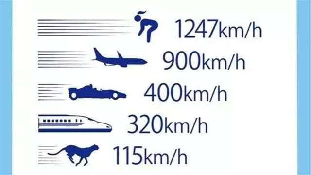  胸和屁股为看点体育类动漫《竞女》简直亮瞎了小编的眼睛，