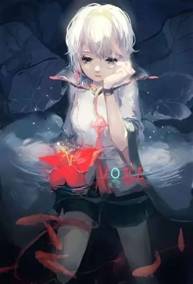 言和二次元福利壁纸