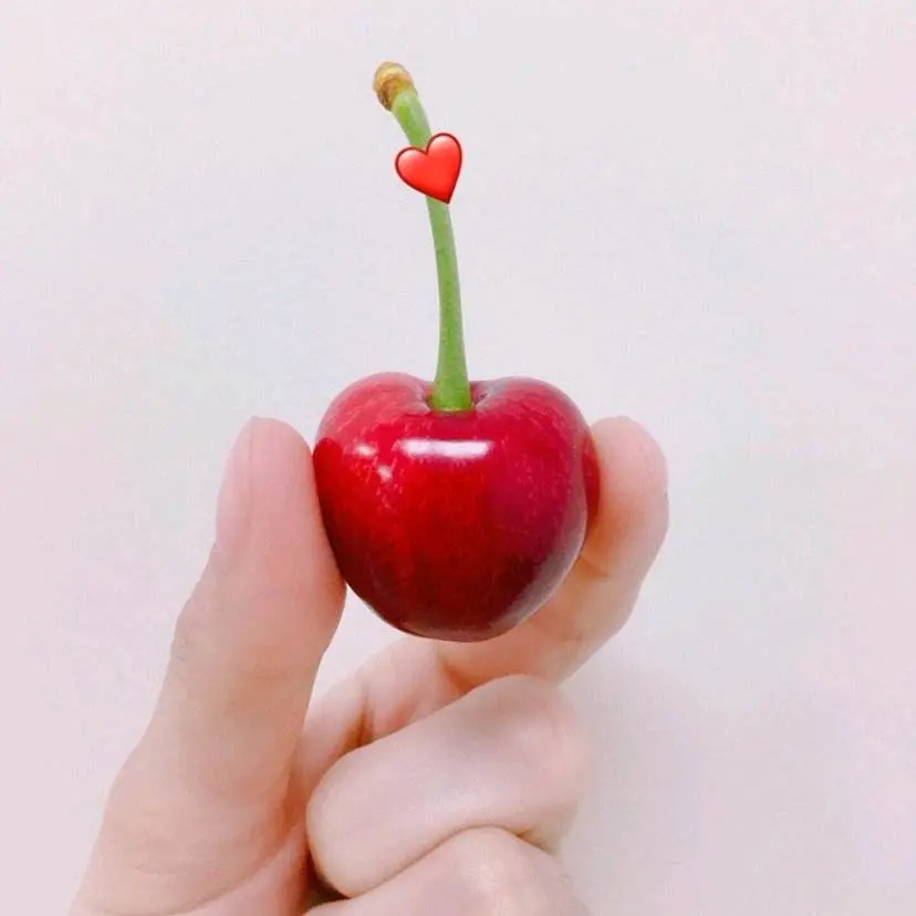 乐正绫x乐正龙牙R18同人本子