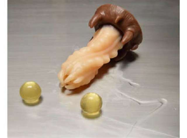 填充物27号花怜渎神(产ru 产luan 触手)