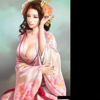 三国志13甄氏果体女角色图鉴