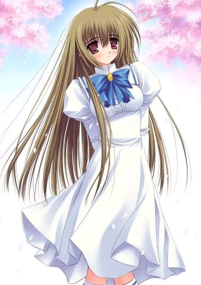 大家都知道什么是伪娘，但是才能得到伪娘呢？