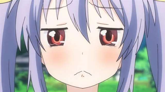 治愈神作“喵帕斯”《悠哉日常大王》