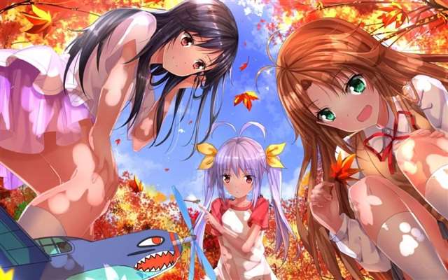 【二次元福利】喵帕斯专场