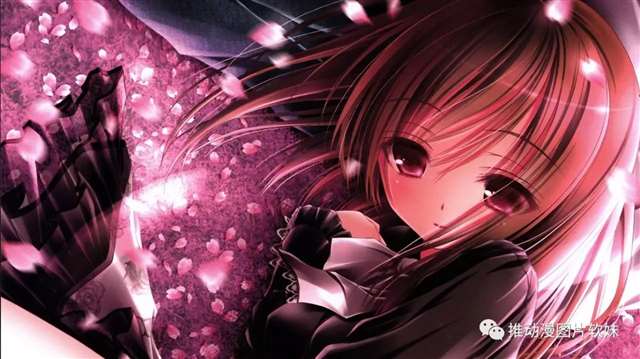 萌萌哒的动漫美图——萝球社