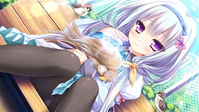 立绘好，画风极其精美的写实的galgame【多图预警】