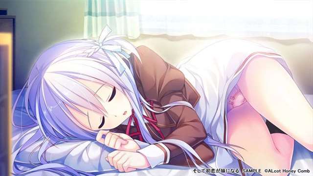 立绘好，画风极其精美的写实的galgame【多图预警】