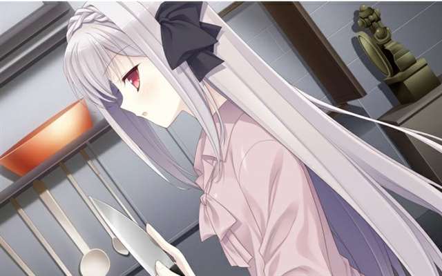 立绘好，画风极其精美的写实的galgame【多图预警】