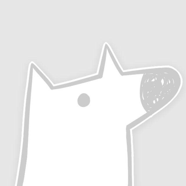 立绘好，画风极其精美的写实的galgame【多图预警】