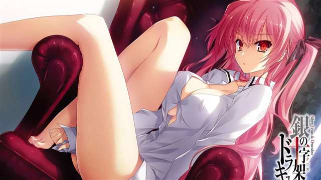 《银之十字架与吸血姬》动漫壁纸