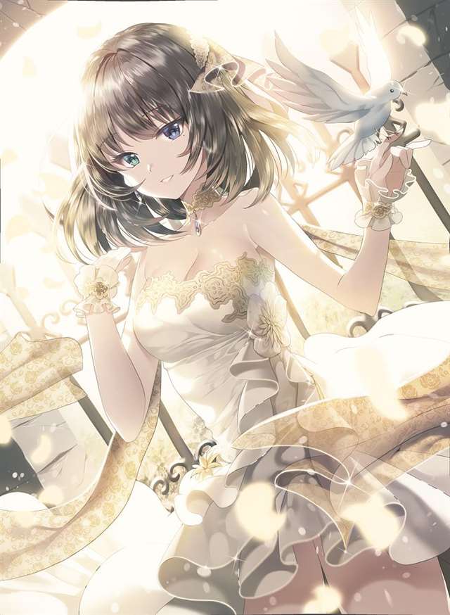 铁打的枫姐,流水的冠军.高垣枫 特辑