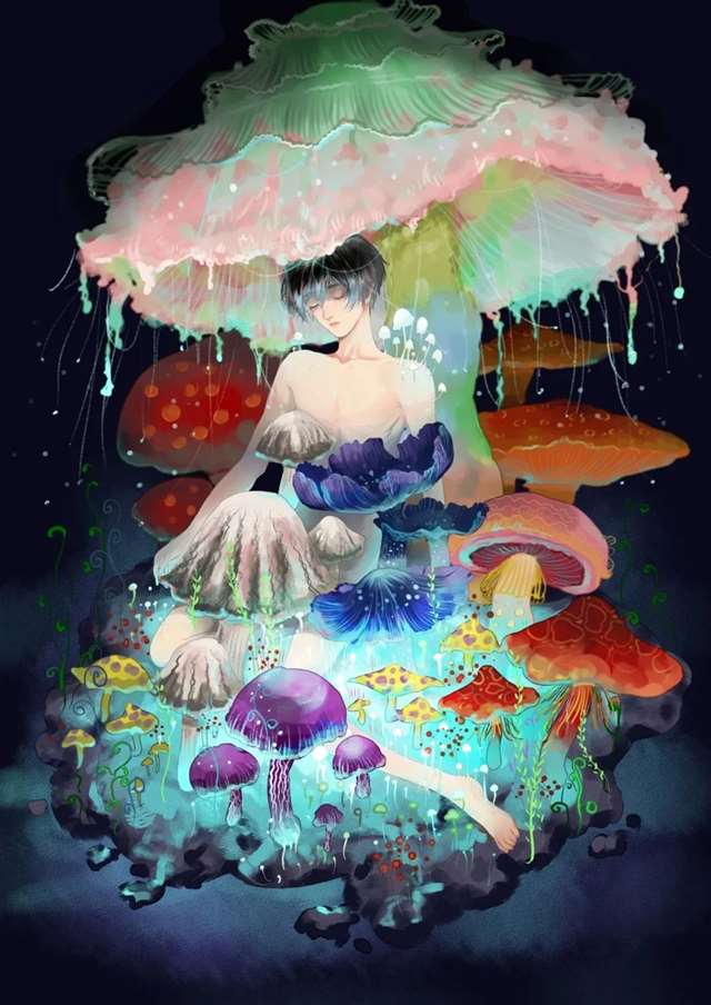 原耽 小蘑菇 陆沨&安折 壁纸