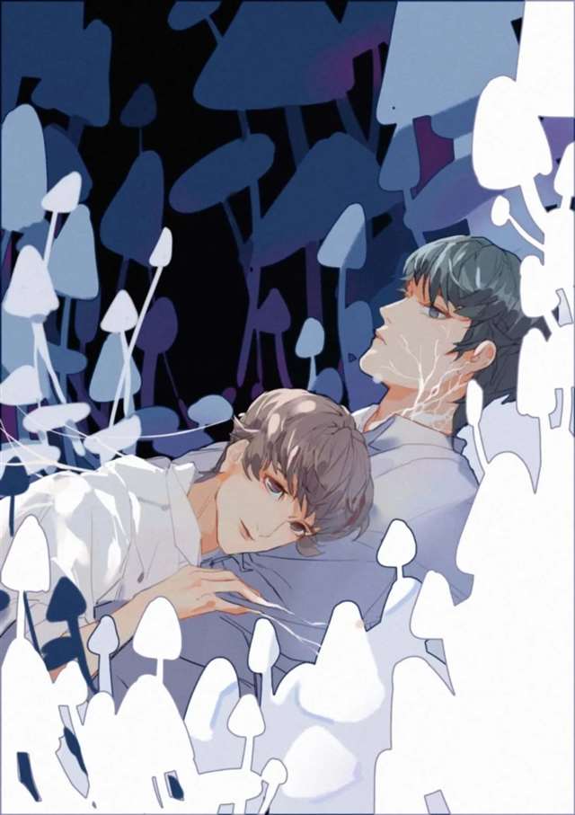 原耽 小蘑菇 陆沨&安折 壁纸