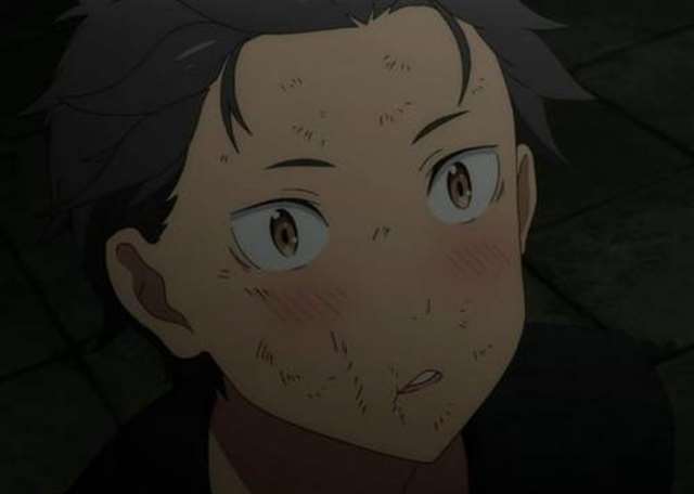 《RE：从零开始的异世界生活》菜月昴所追求的爱情