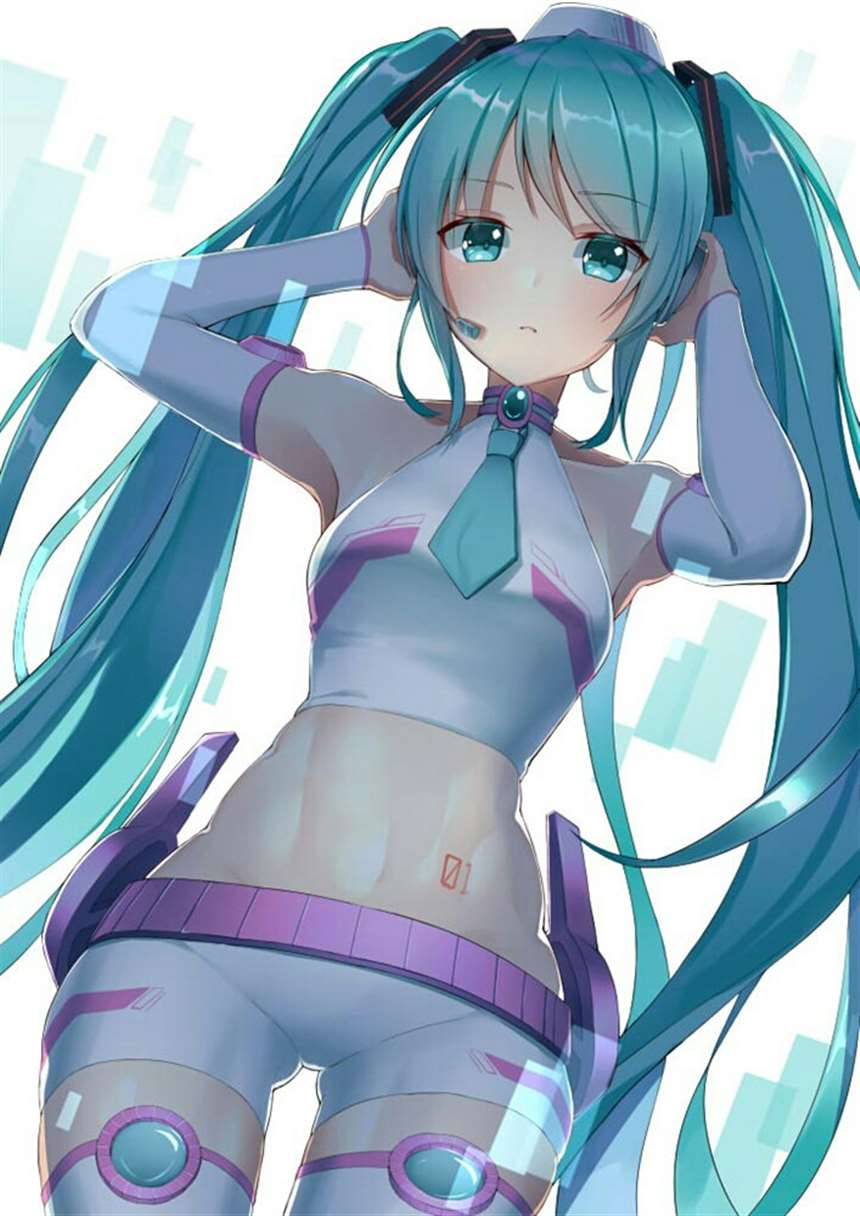 美美的初音~你见过没?~(=ω=)