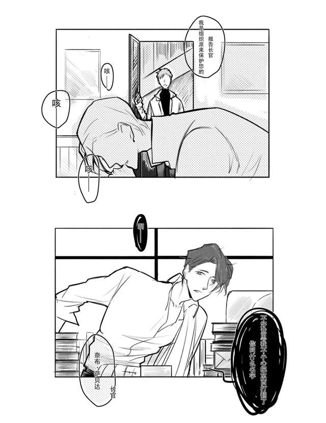 第五人格腐漫|双军官什么的超带感