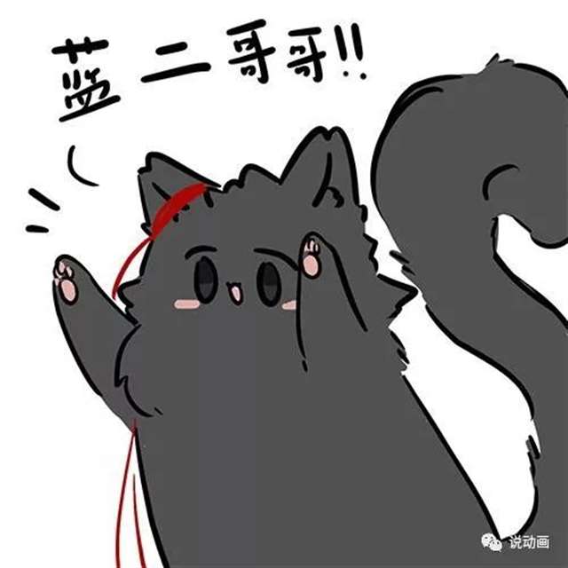 《魔道祖师》忘羡曦瑶猫咪头像