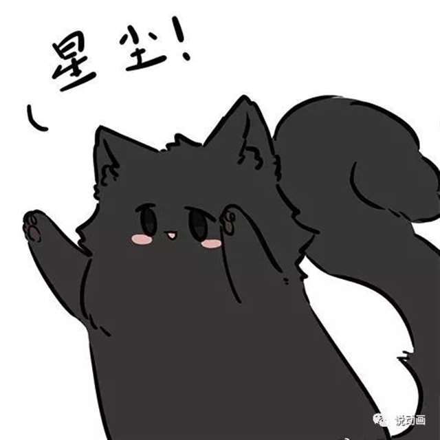 《魔道祖师》忘羡曦瑶猫咪头像