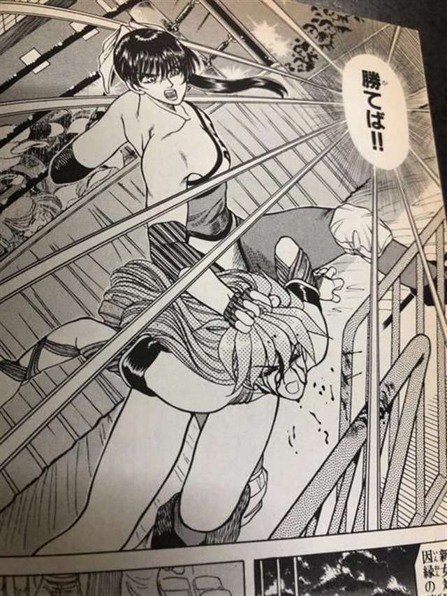 女子プロレス キャットファイト 漫画 コミック 大量