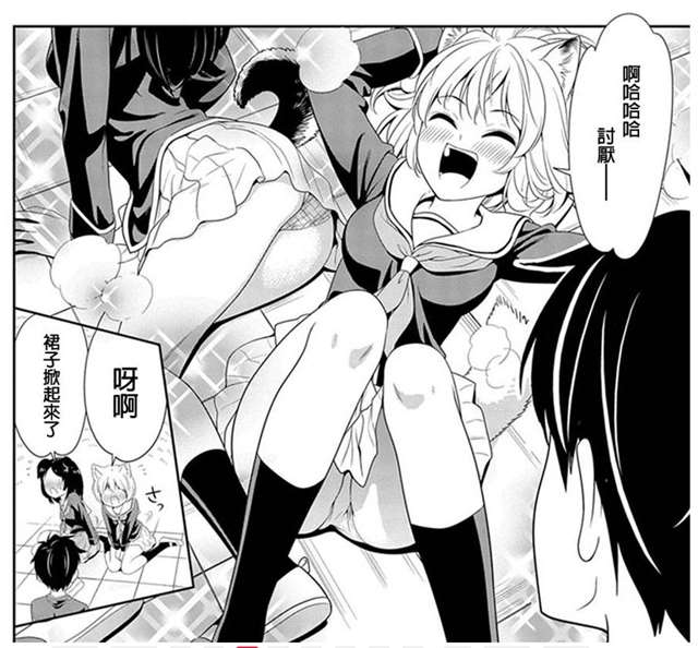 《群聚一堂！西顿学园》