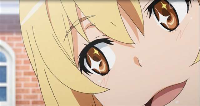 我永远喜欢食蜂操祈