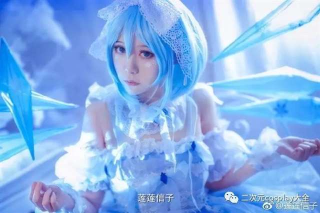 东方Project琪露诺cos cn：莲信子