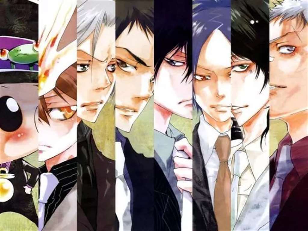  《家庭教师HITMAN REBORN!》