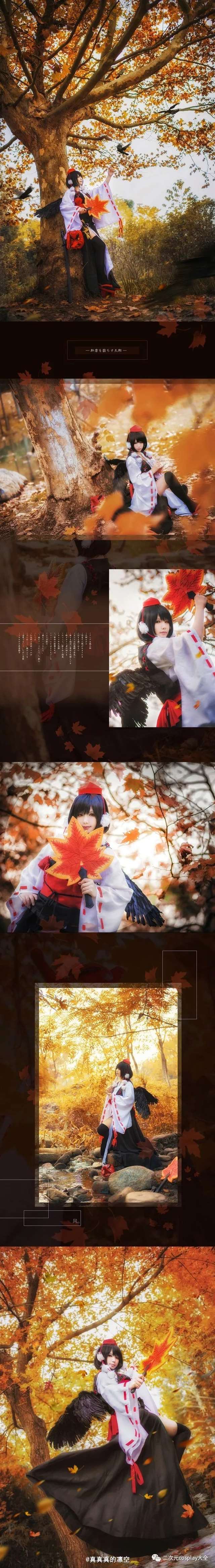 东方Project射命丸文 cos 真真真的凛空