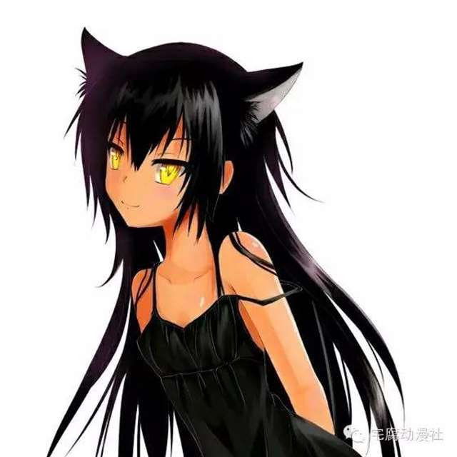 《出包王女Darkness》的女性角色的人气投票