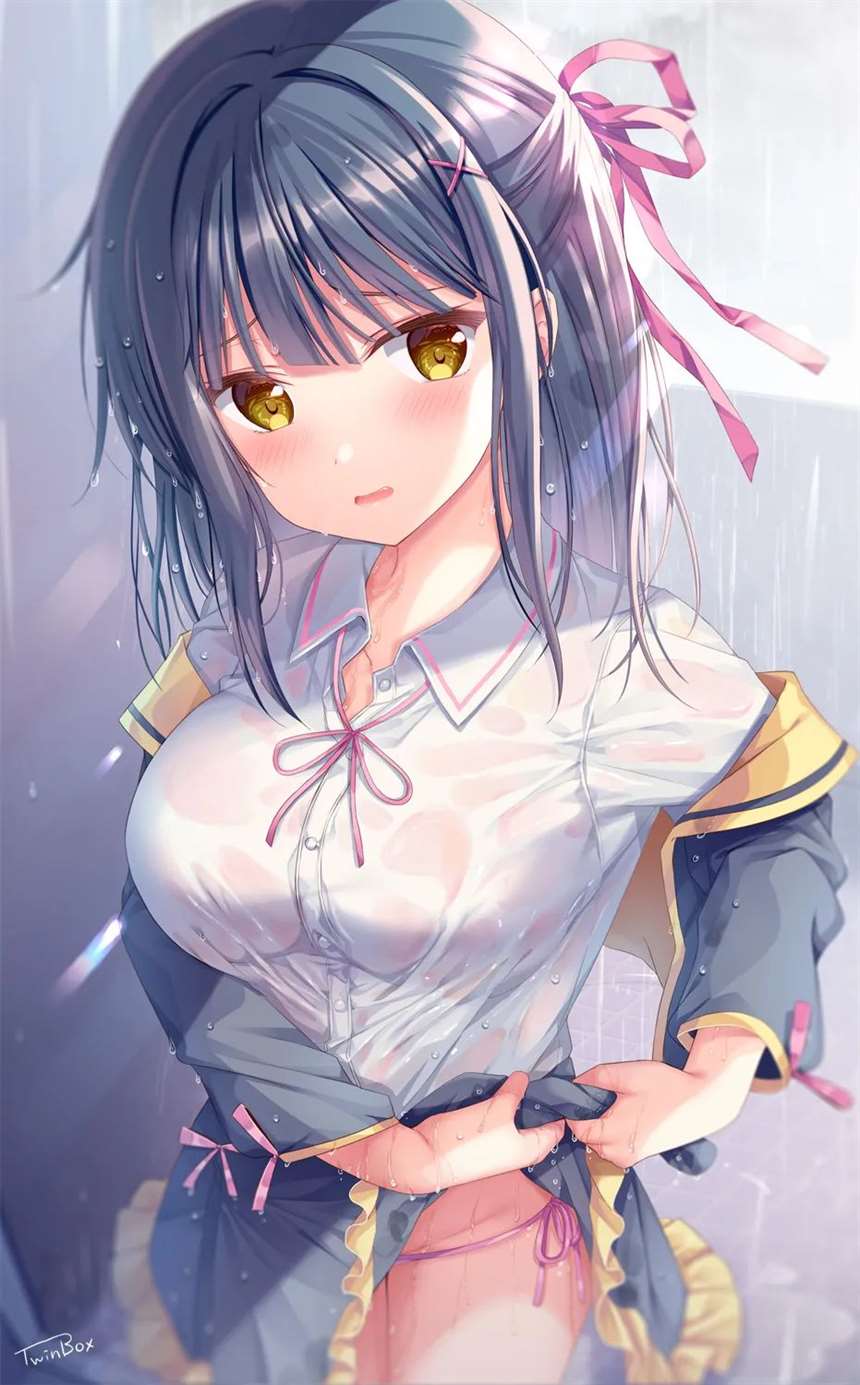 【稀有资源】Twinbox收费图集