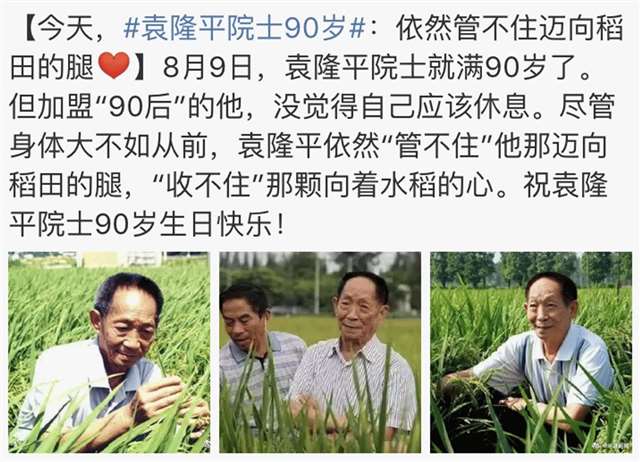 宫崎骏的电影打动人心的本领从未让我们失望